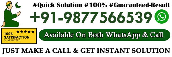 WhatsApp contact